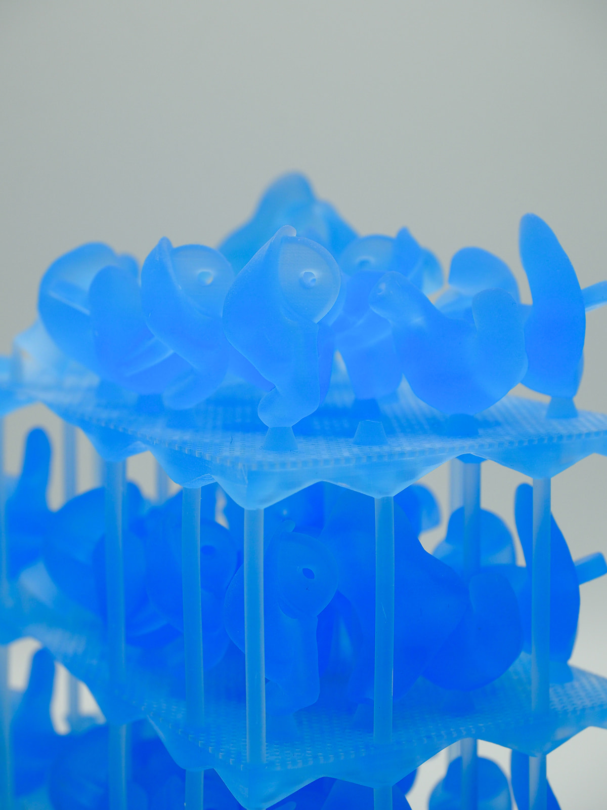 MACK4D - audio mold 405 nm